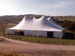 100ft X 90ft Twin Pole Tent