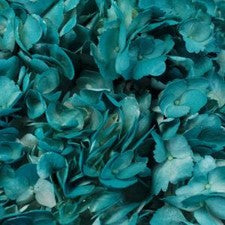 Stems In Bulk: Aquamarine Blue Airbrushed Hydrangea