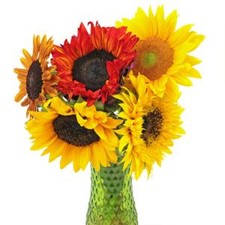 Stems In Bulk: Assorted Sunflowers For Arranging