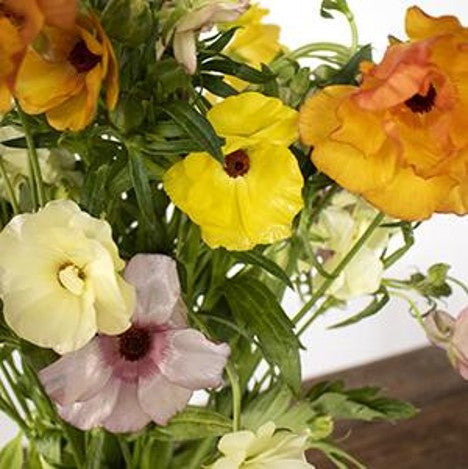 Stems In Bulk: Butterfly Ranunculus Flower Mixed Colors