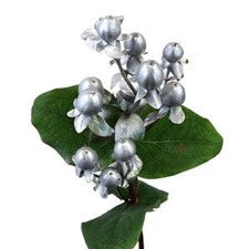 Stems In Bulk: Enhanced Silver Designer Hypericum Berries