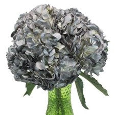 Stems In Bulk: Silver Wedding Anniversary Airbrushed Hydrangea