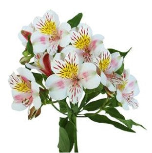DIY wedding flowers | Cheap wedding bouquet | DIY wedding bouquet | For sale wedding flowers | DIY flower centerpieces | DIY wedding centerpieces | DIY cheap | Cheap florist Louisville KY | Wedding florist Louisville KY | Wedding florist near me | Florist near me