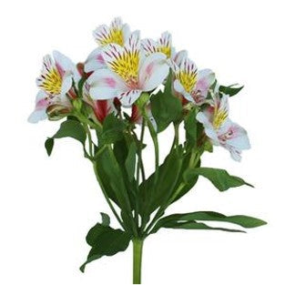 DIY wedding flowers | Cheap wedding bouquet | DIY wedding bouquet | For sale wedding flowers | DIY flower centerpieces | DIY wedding centerpieces | DIY cheap | Cheap florist Louisville KY | Wedding florist Louisville KY | Wedding florist near me | Florist near me