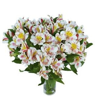 DIY wedding flowers | Cheap wedding bouquet | DIY wedding bouquet | For sale wedding flowers | DIY flower centerpieces | DIY wedding centerpieces | DIY cheap | Cheap florist Louisville KY | Wedding florist Louisville KY | Wedding florist near me | Florist near me