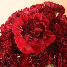 Open image in slideshow, DIY wedding flowers | Cheap wedding bouquet | DIY wedding bouquet | For sale wedding flowers | DIY flower centerpieces | DIY wedding centerpieces | DIY cheap | Cheap florist Louisville KY | Wedding florist Louisville KY | Wedding florist near me | Florist near me
