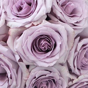 DIY wedding flowers | Cheap wedding bouquet | DIY wedding bouquet | For sale wedding flowers | DIY flower centerpieces | DIY wedding centerpieces | DIY cheap | Cheap florist Louisville KY | Wedding florist Louisville KY | Wedding florist near me | Florist near me