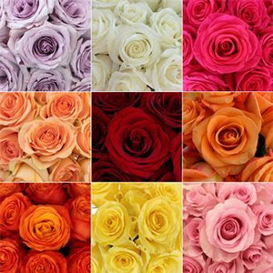 DIY wedding flowers | Cheap wedding bouquet | DIY wedding bouquet | For sale wedding flowers | DIY flower centerpieces | DIY wedding centerpieces | DIY cheap | Cheap florist Louisville KY | Wedding florist Louisville KY | Wedding florist near me | Florist near me