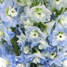 DIY wedding flowers | Cheap wedding bouquet | DIY wedding bouquet | For sale wedding flowers | DIY flower centerpieces | DIY wedding centerpieces | DIY cheap | Cheap florist Louisville KY | Wedding florist Louisville KY | Wedding florist near me | Florist near me
