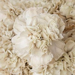 Open image in slideshow, DIY wedding flowers | Cheap wedding bouquet | DIY wedding bouquet | For sale wedding flowers | DIY flower centerpieces | DIY wedding centerpieces | DIY cheap | Cheap florist Louisville KY | Wedding florist Louisville KY | Wedding florist near me | Florist near me
