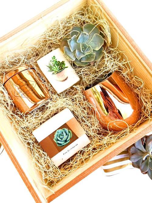 Succulent Gift Box (25 Box Minimum Order)